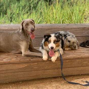 8ae27e13-0f4f-4454-b481-73035494a2c6