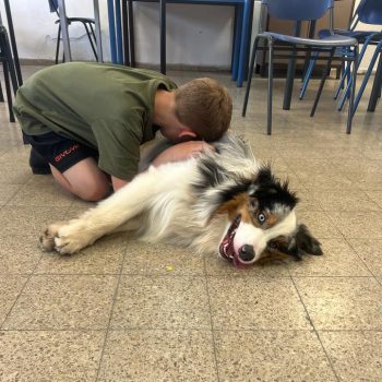 fecfdbb3-3fb0-49b6-a52c-0c6ce0978d9f